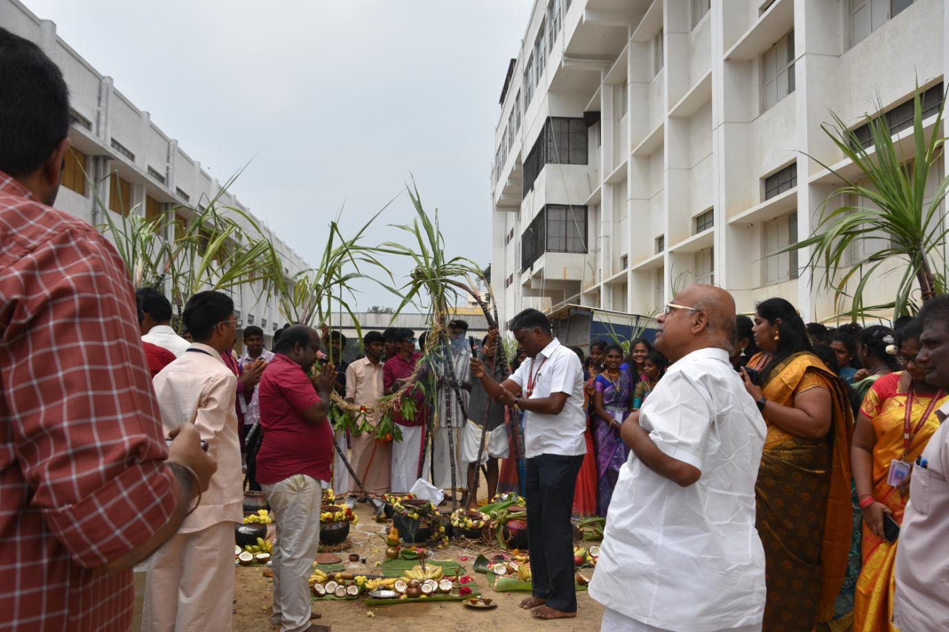 Pongal Celebration